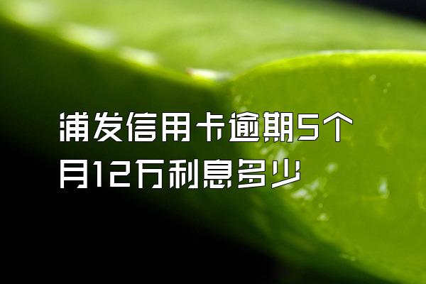 浦发信用卡逾期5个月12万利息多少