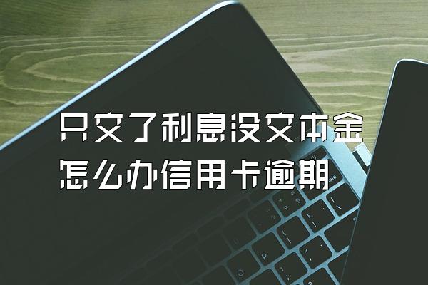 只交了利息没交本金怎么办信用卡逾期