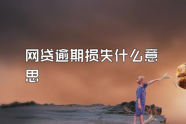 网贷逾期损失什么意思