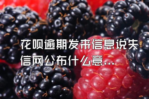 花呗逾期发来信息说失信网公布什么意思