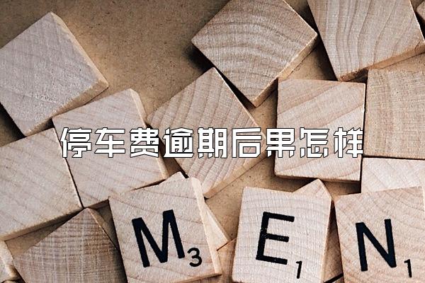 停车费逾期后果怎样