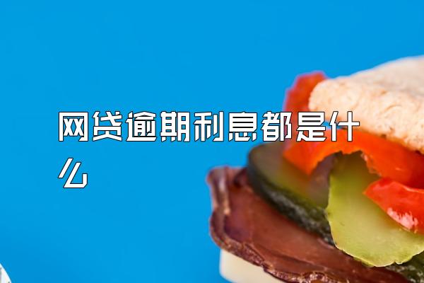 网贷逾期利息都是什么