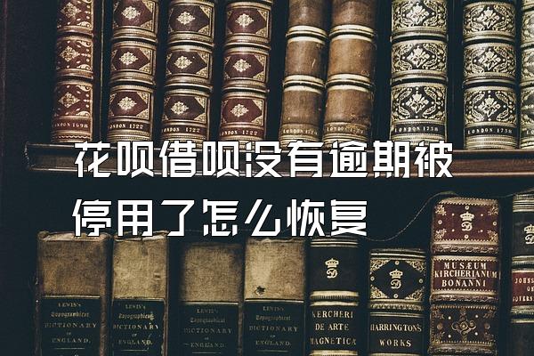 花呗借呗没有逾期被停用了怎么恢复