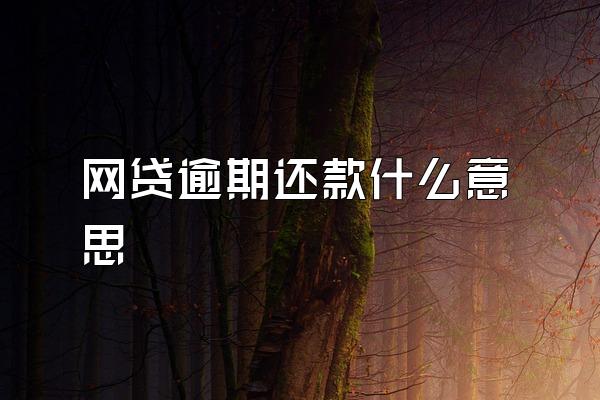 网贷逾期还款什么意思