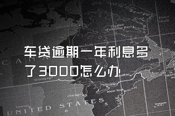 车贷逾期一年利息多了3000怎么办