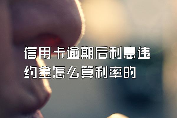 信用卡逾期后利息违约金怎么算利率的