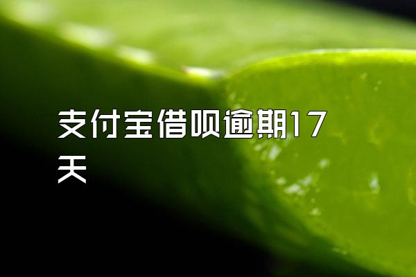 支付宝借呗逾期17天