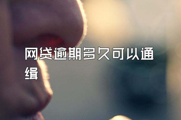 网贷逾期多久可以通缉