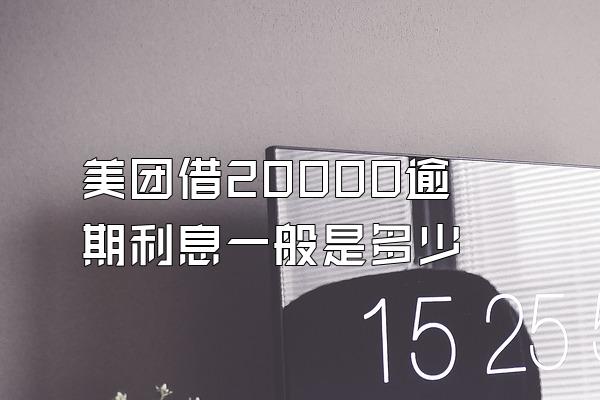 美团借20000逾期利息一般是多少