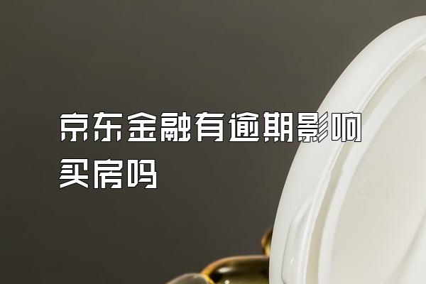 京东金融有逾期影响买房吗