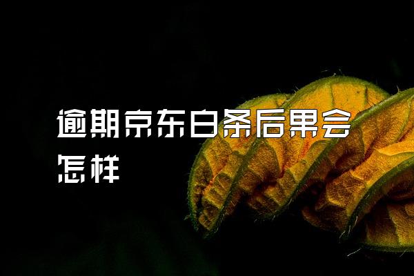 逾期京东白条后果会怎样