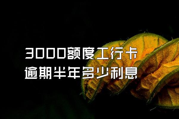 3000额度工行卡逾期半年多少利息