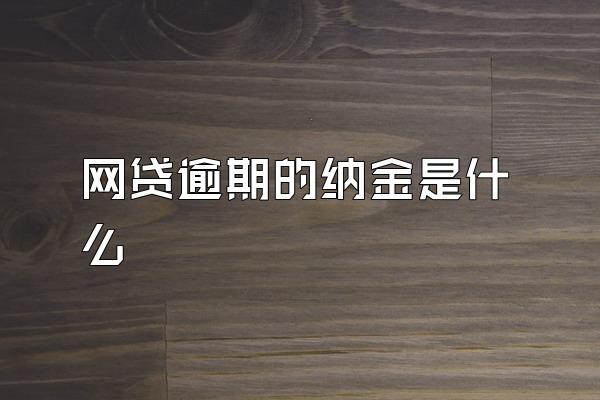 网贷逾期的纳金是什么