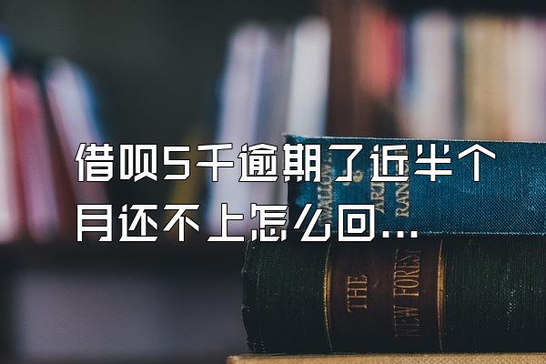 借呗5千逾期了近半个月还不上怎么回事