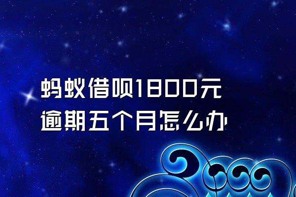 蚂蚁借呗1800元逾期五个月怎么办