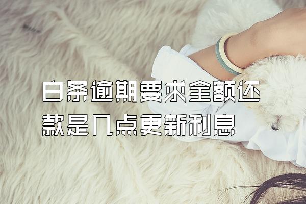 白条逾期要求全额还款是几点更新利息