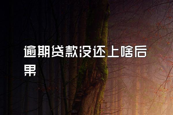 逾期贷款没还上啥后果