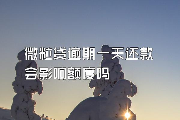 微粒贷逾期一天还款会影响额度吗