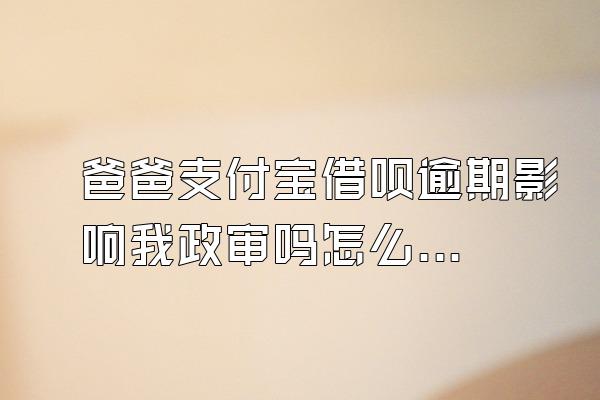 爸爸支付宝借呗逾期影响我政审吗怎么办