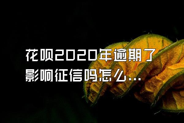 花呗2020年逾期了影响征信吗怎么查