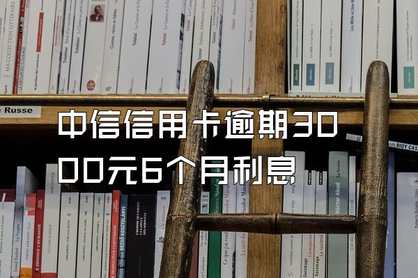 中信信用卡逾期3000元6个月利息