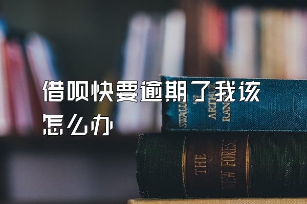 借呗快要逾期了我该怎么办