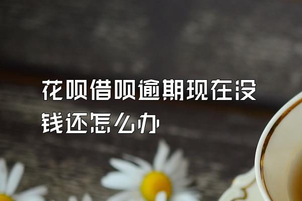 花呗借呗逾期现在没钱还怎么办