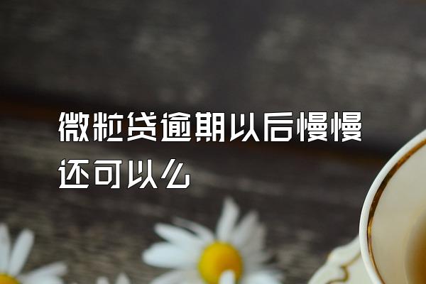 微粒贷逾期以后慢慢还可以么