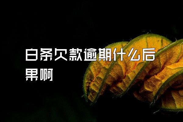 白条欠款逾期什么后果啊