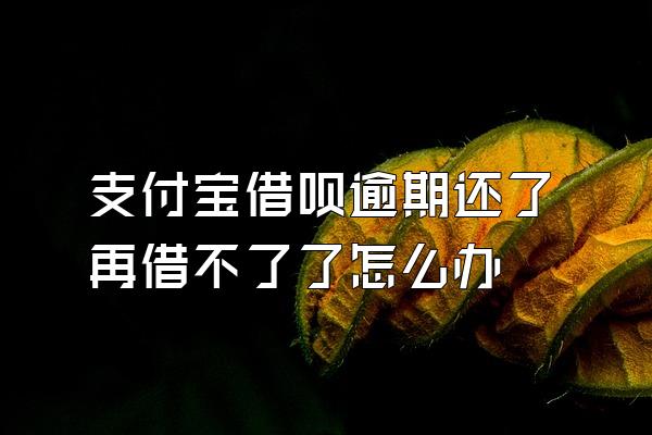 支付宝借呗逾期还了再借不了了怎么办