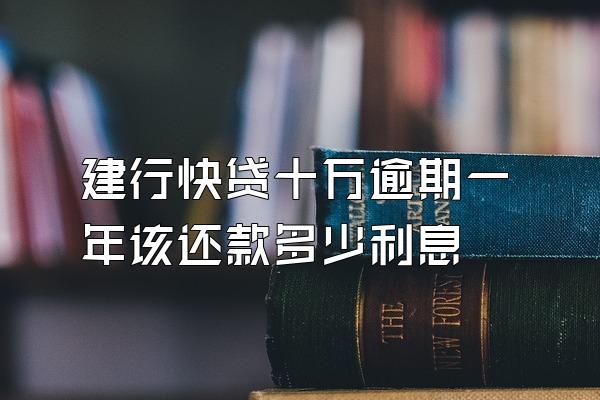 建行快贷十万逾期一年该还款多少利息