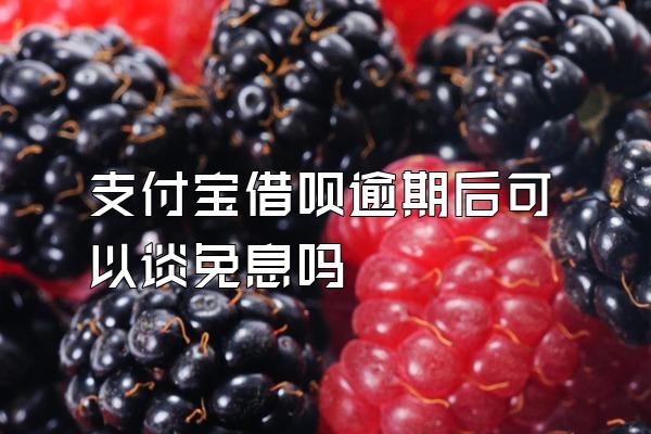 支付宝借呗逾期后可以谈免息吗