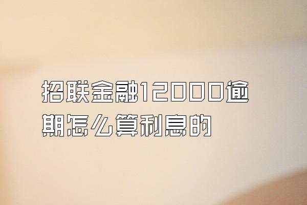 招联金融12000逾期怎么算利息的