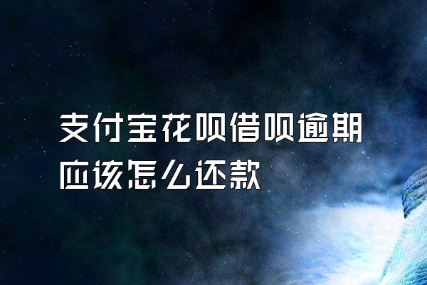 支付宝花呗借呗逾期应该怎么还款