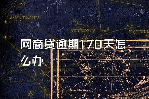 网商贷逾期170天怎么办