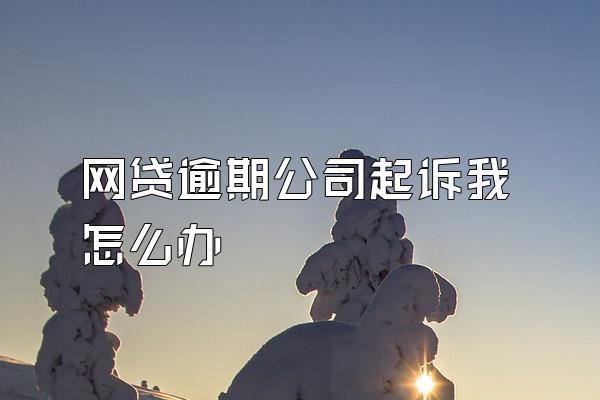 网贷逾期公司起诉我怎么办