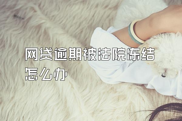 网贷逾期被法院冻结怎么办