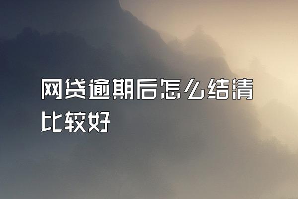 网贷逾期后怎么结清比较好