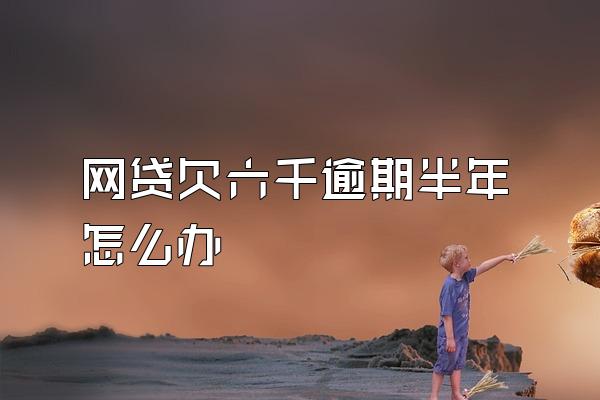 网贷欠六千逾期半年怎么办