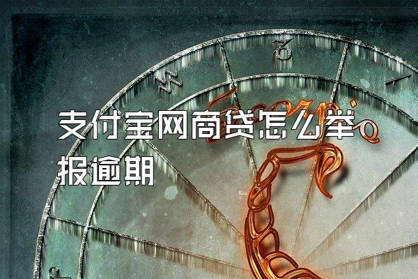 支付宝网商贷怎么举报逾期