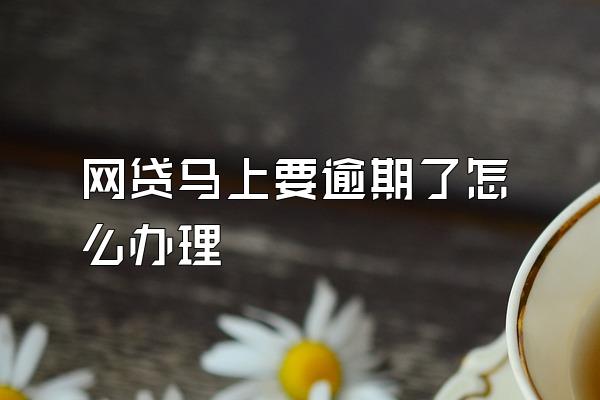 网贷马上要逾期了怎么办理