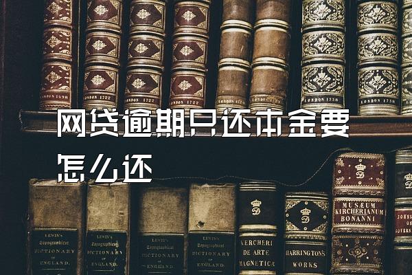 网贷逾期只还本金要怎么还