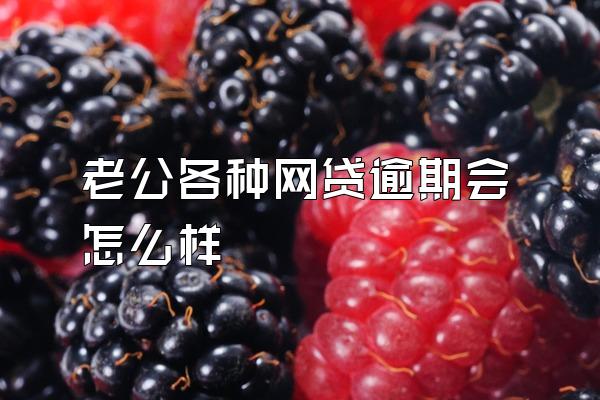 老公各种网贷逾期会怎么样