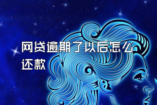 网贷逾期了以后怎么还款