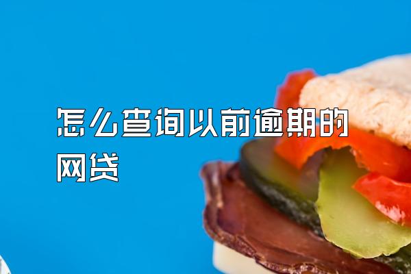 怎么查询以前逾期的网贷