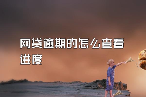 网贷逾期的怎么查看进度