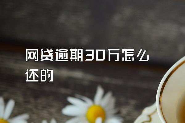 网贷逾期30万怎么还的