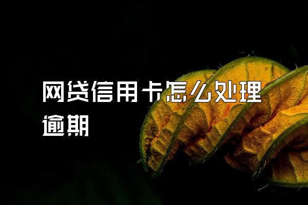 网贷信用卡怎么处理逾期