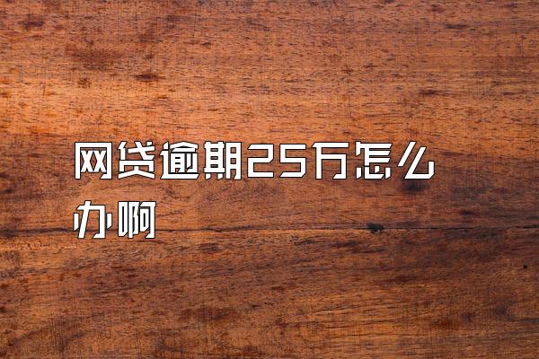 网贷逾期25万怎么办啊