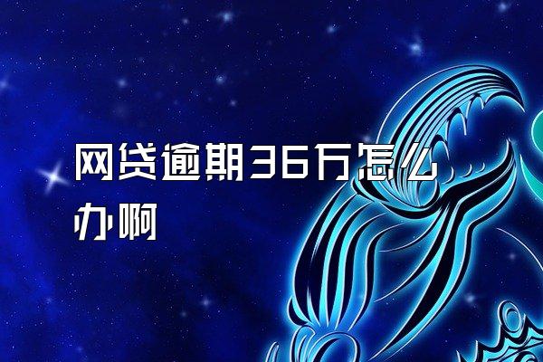 网贷逾期36万怎么办啊